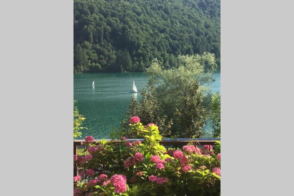 Casa A Schiera Fronte Lago Con Giardino 巴尔奇斯 外观 照片